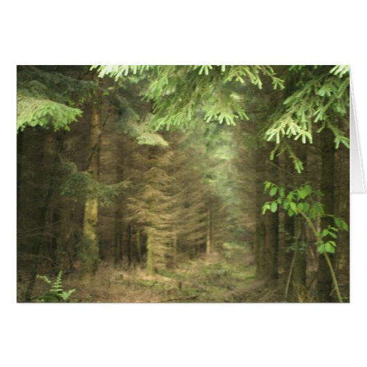mystery forest cards (Front Horizontal)