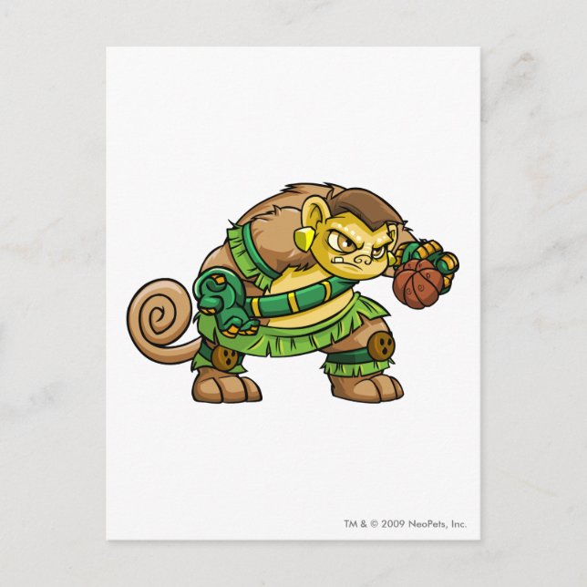 Mystery Island Team Captain 2 Postcard (Front)