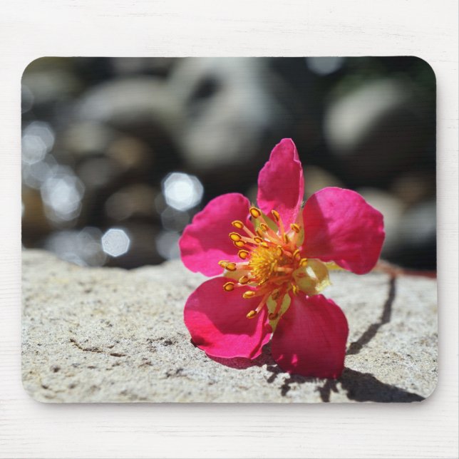 Mystery Pink Flower Mouse Pad (Front)