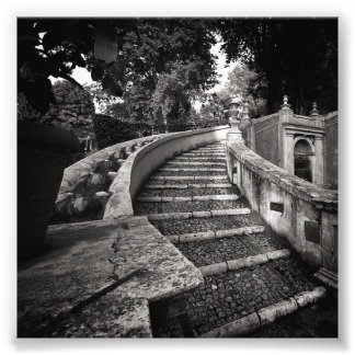 Mystery Stairs Photo Print