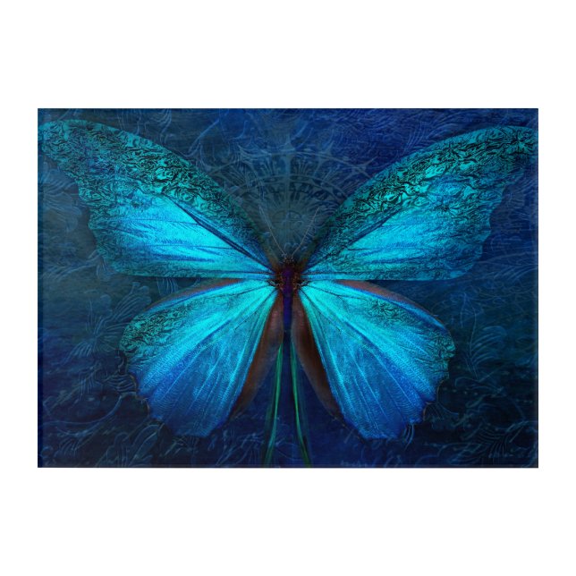 Mystic Blue Butterfly  Acrylic Print (Front)