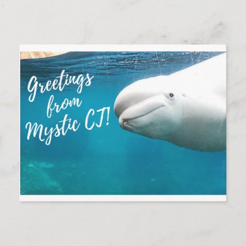 Mystic CT Post Card _ Burger Post Art 004 signed