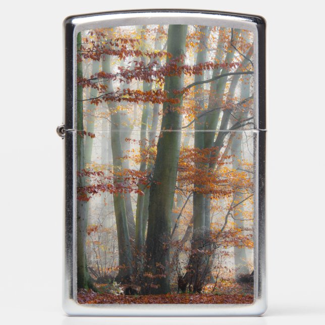 Mystic Foggy Forest Fall Scenic Nature - windproof Zippo Lighter (Front)