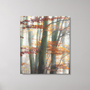 Mystic Foggy Forest in autumn Canvas Print