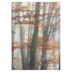 Mystic Foggy Forest in autumn Tablecloth