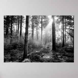 mystic forest poster