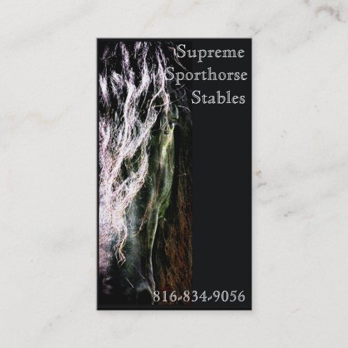 Mystic Friesian Business Card Templates