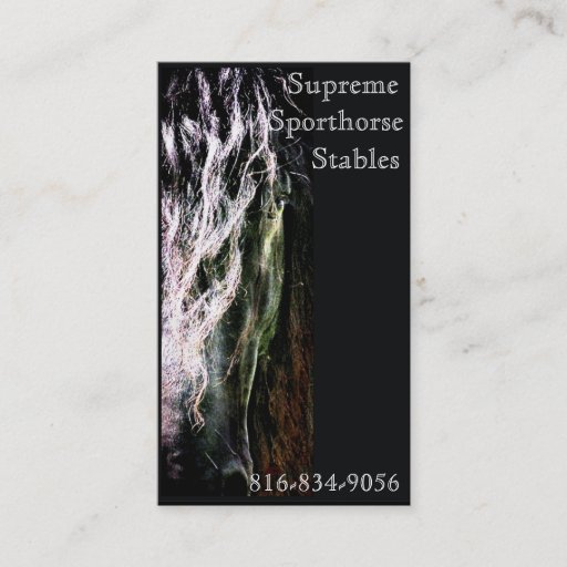 Customizable Mystic Friesian Business Card Templates