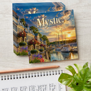 Mystic Harbor Reflections Envelope