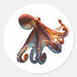 Mystic Ocean Octopus - Artistic Deep Sea Creature Classic Round Sticker