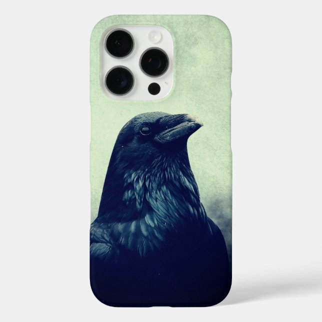 Mystic Raven Aesthetic Graphic iPhone 16 Pro Case (Back)
