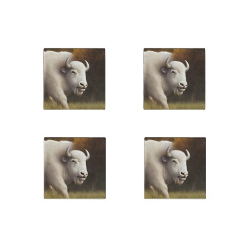 Mystic White Buffalo Stone Magnet Set