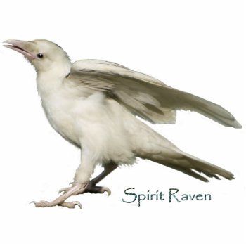 Mystic White Raven Wildlife Sculpted Gift Item Statuette by RavenSpiritPrints at Zazzle