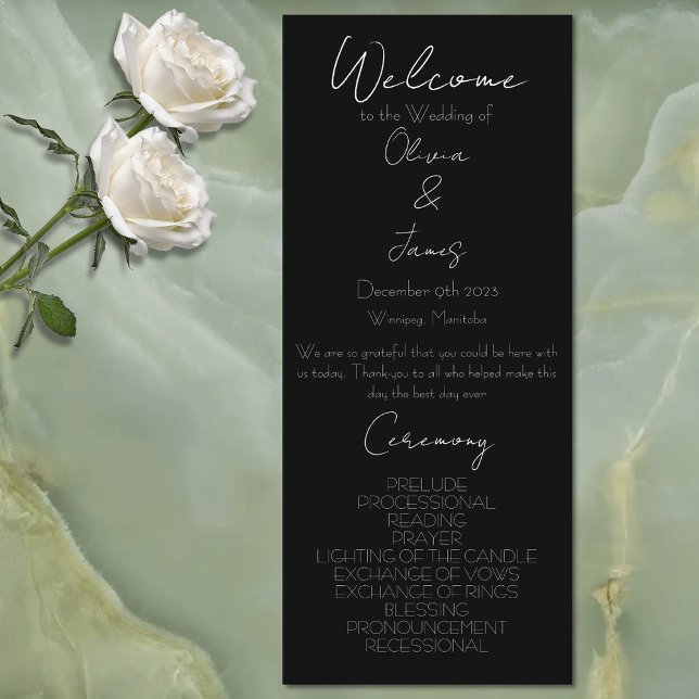 Mystical Black Boho Luna Moth Moon Phases Wedding Program (Creator Uploaded)