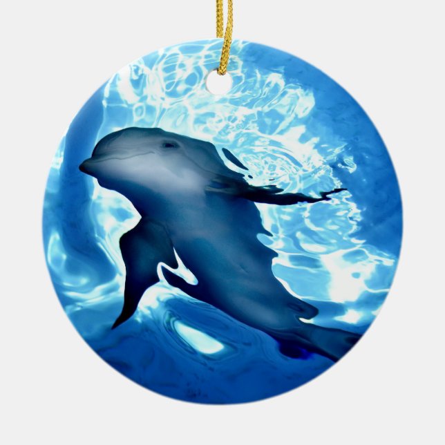 Mystical Dolphin.jpg Ceramic Ornament (Front)