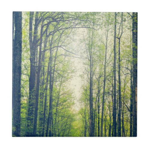 Mystical forest ceramic tile