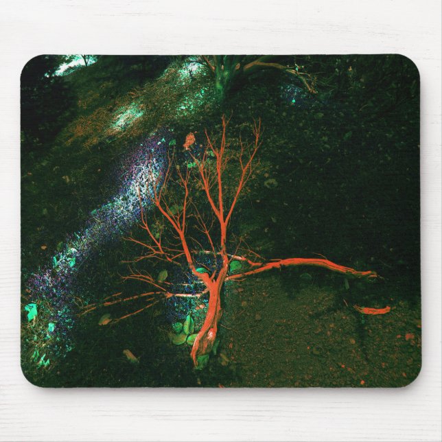 Mystical Forest... Mouse Pad (Front)