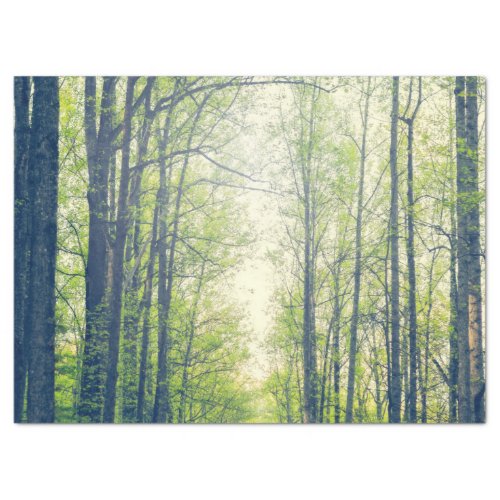 Mystical forest tissue paper