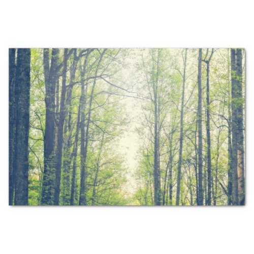 Mystical forest tissue paper