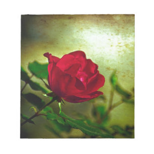 Mystical Garden Gothic Valentine's day Red Rose Notepad