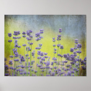Mystical Lavender Poster