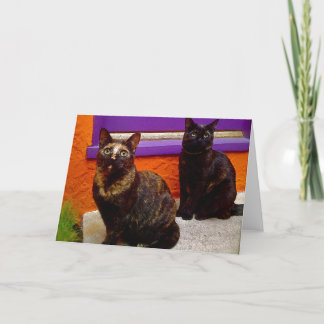 Mystical Monkey Cats Greeting Card