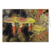 Mystical Mushrooms (Front Horizontal)