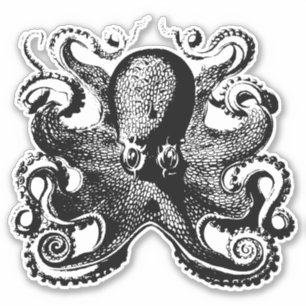 Mystical Ocean's Grasp - Octopus Sticker