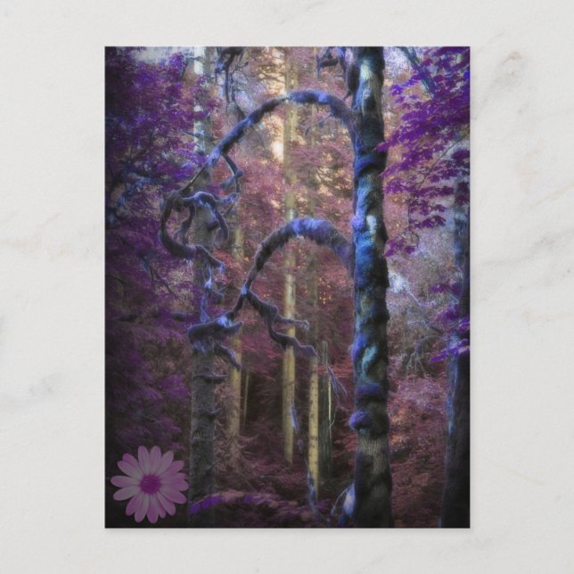 Mystical Purple Forest Postcard (Front)