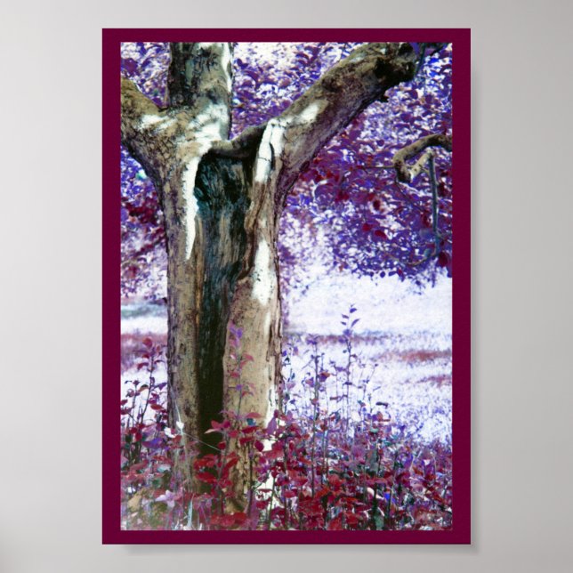 Mystical Tree Poster (Front)