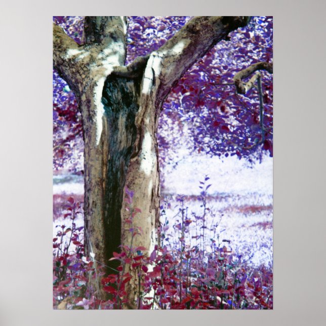 Mystical Tree Poster (Front)