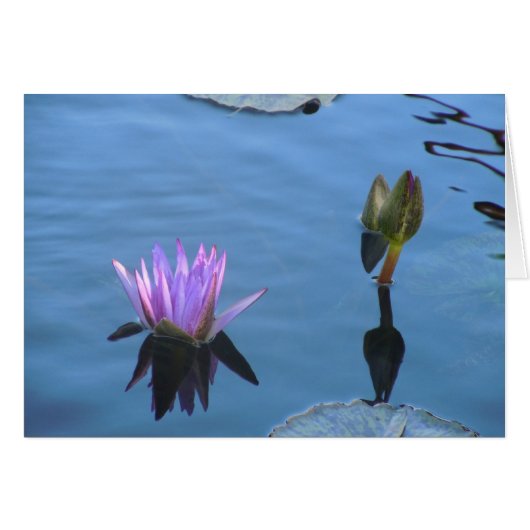 Mystical Waters Cards (Front Horizontal)