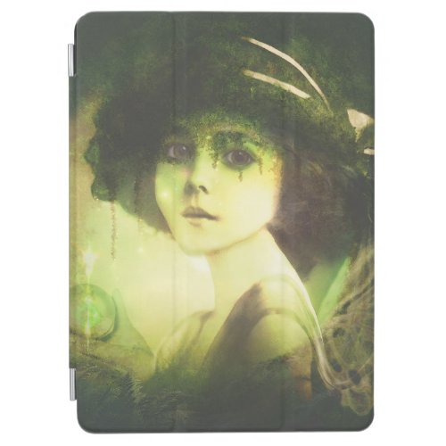 Mystical Willow Tree Fairy Fantasy Art iPad Air Cover