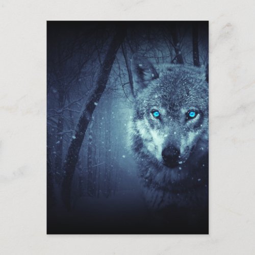 Mystical Winter Wolf Postcard