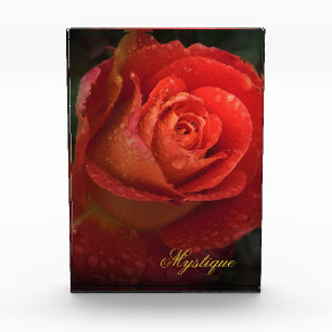Mystique Dark Botanical Red Orange Rose Acrylic Award