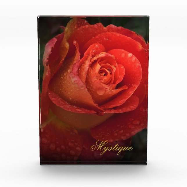 Mystique Dark Botanical Red Orange Rose Acrylic Award (Front)