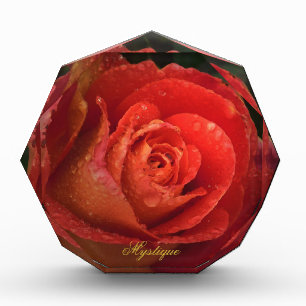 Mystique Dark Botanical Red Orange Rose Facet Acrylic Award
