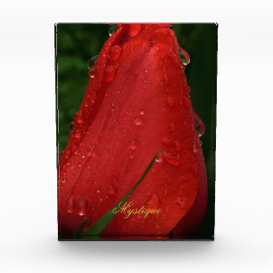 Mystique Dark Botanical Red Tulip Facet Acrylic Aw Award