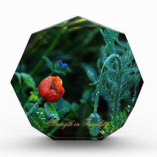 Mystique Dark Botanical Red Tulip Facet Acrylic Aw Award