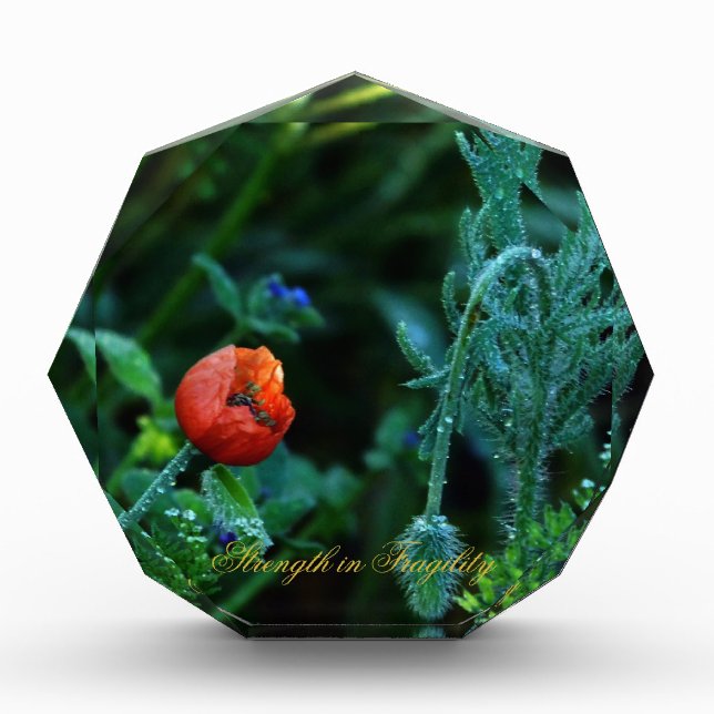 Mystique Dark Botanical Red Tulip Facet Acrylic Aw Award (Front)