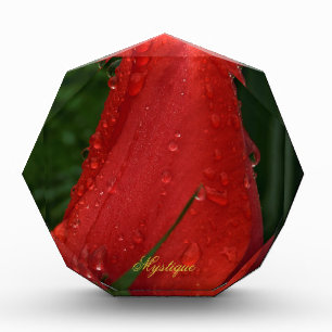 Mystique Dark Botanical Red Tulip Facet Acrylic Aw Award