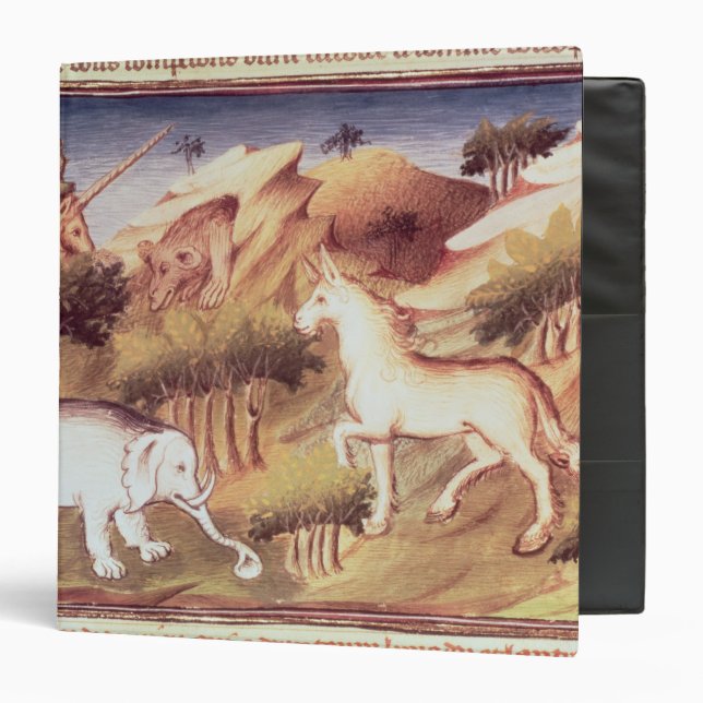 Mythical animals in the wilderness 3 ring binder (Front/Inside)