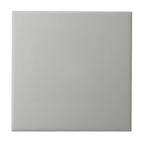 Mythical Argos Gray Square Kitchen and Bathroom Ceramic Tile