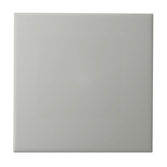 Mythical Argos Gray Square Kitchen and Bathroom Ceramic Tile (Front)
