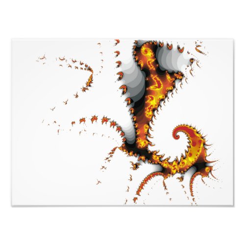 MYTHICAL CREATURES PHOTO PRINT