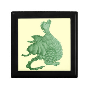 mythical fantasy creature cute green dragon gift box