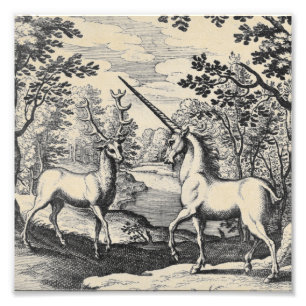 Mythical Unicorn in the Forest Photo Print