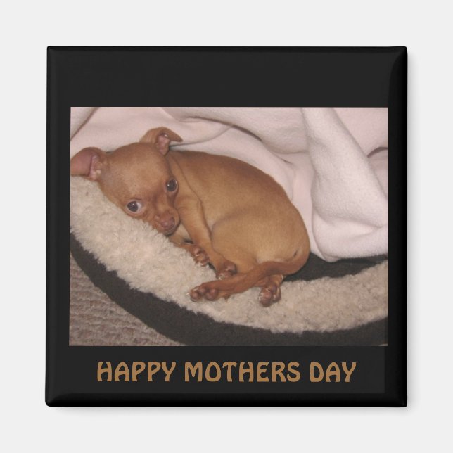 n1033590036_30076141_3289, HAPPY MOTHERS DAY Magnet (Front)