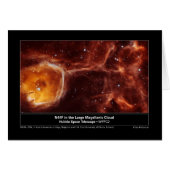 N44F-2004-26 (Front Horizontal)