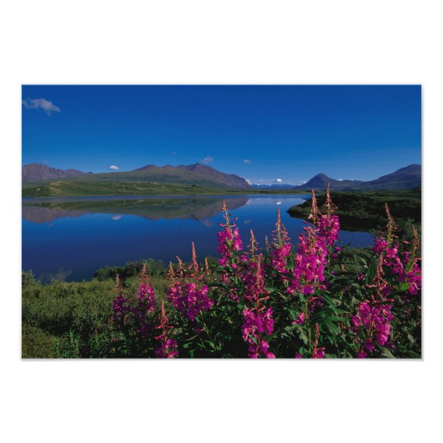 N.A., USA, Alaska, Alaska Range Common Photo Print (Front)